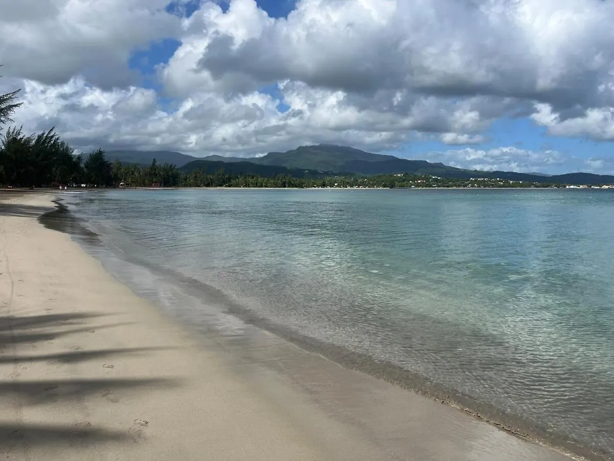 Endless Summer At Punta Bandera Luquillo Διαμέρισμα
