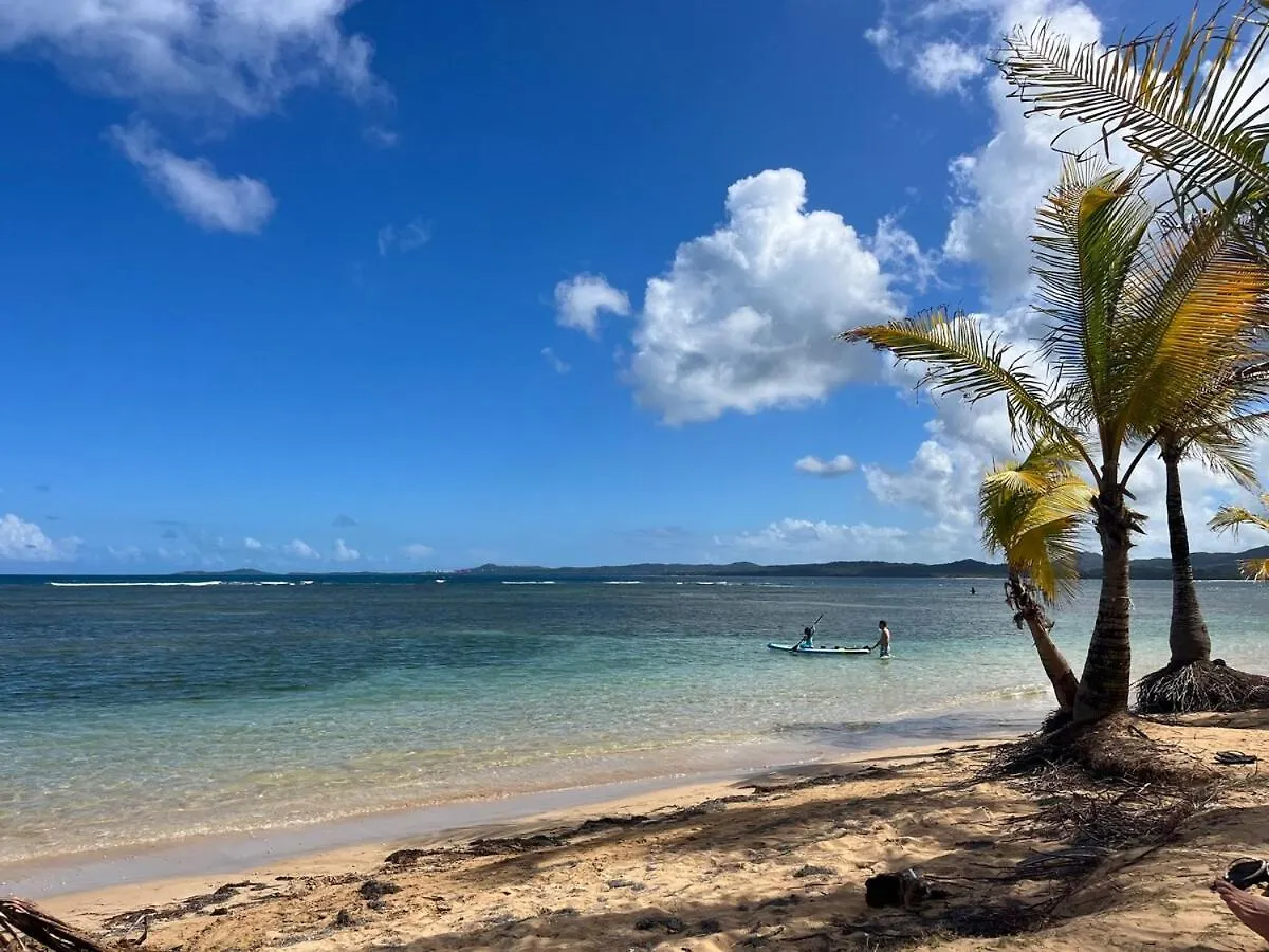 Διαμέρισμα Endless Summer At Punta Bandera Luquillo Πουέρτο Ρίκο