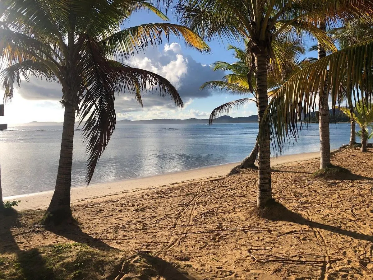 Endless Summer At Punta Bandera contacts